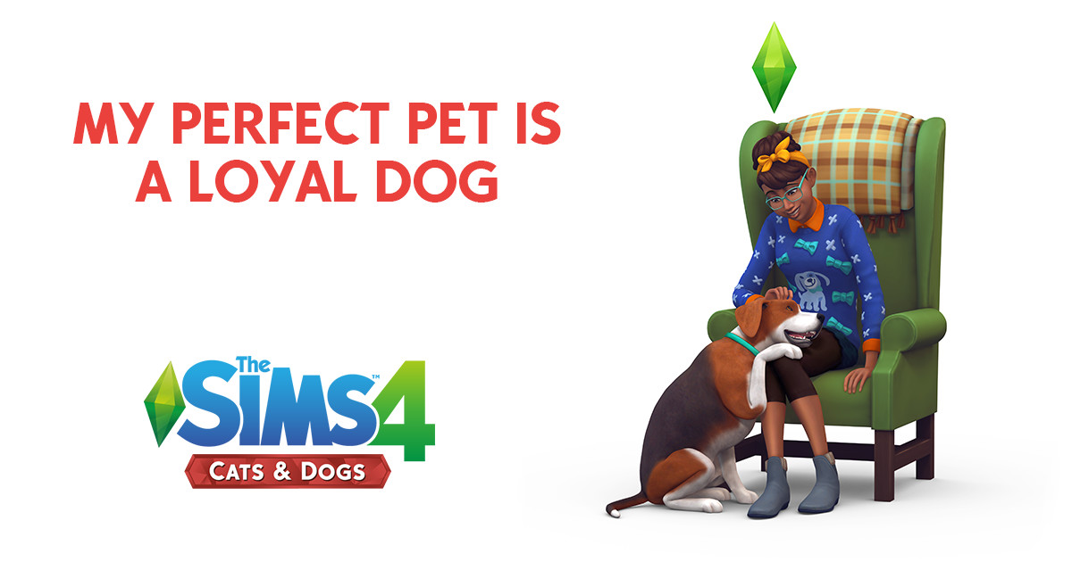 sims 4 cats and dogs quiz sims 4 cats and dogs quiz